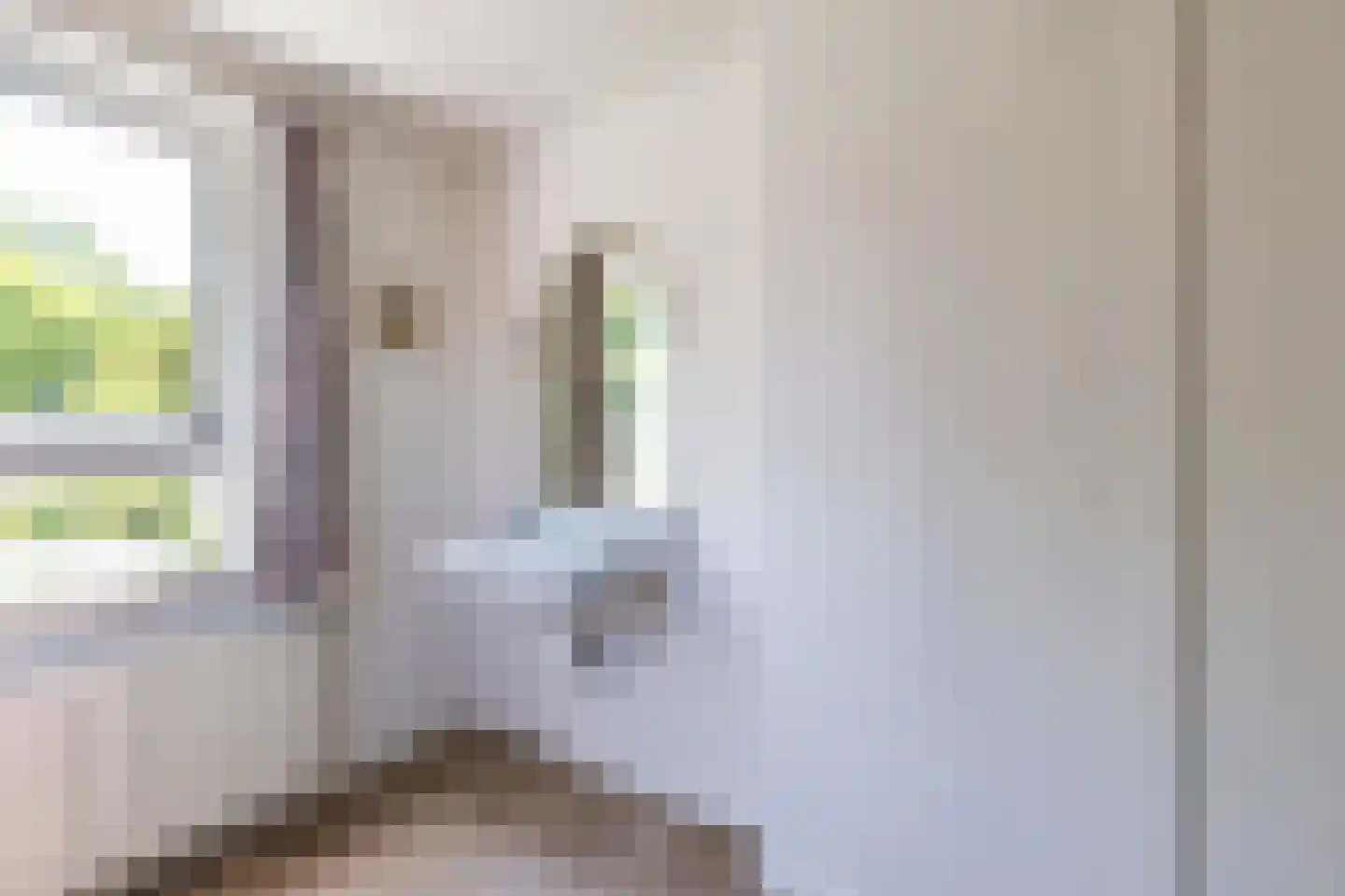 Middellaan 2 Grootegast thumbnail 34