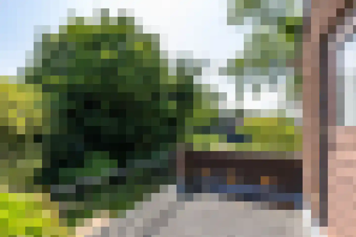 Middellaan 2 Grootegast thumbnail 39
