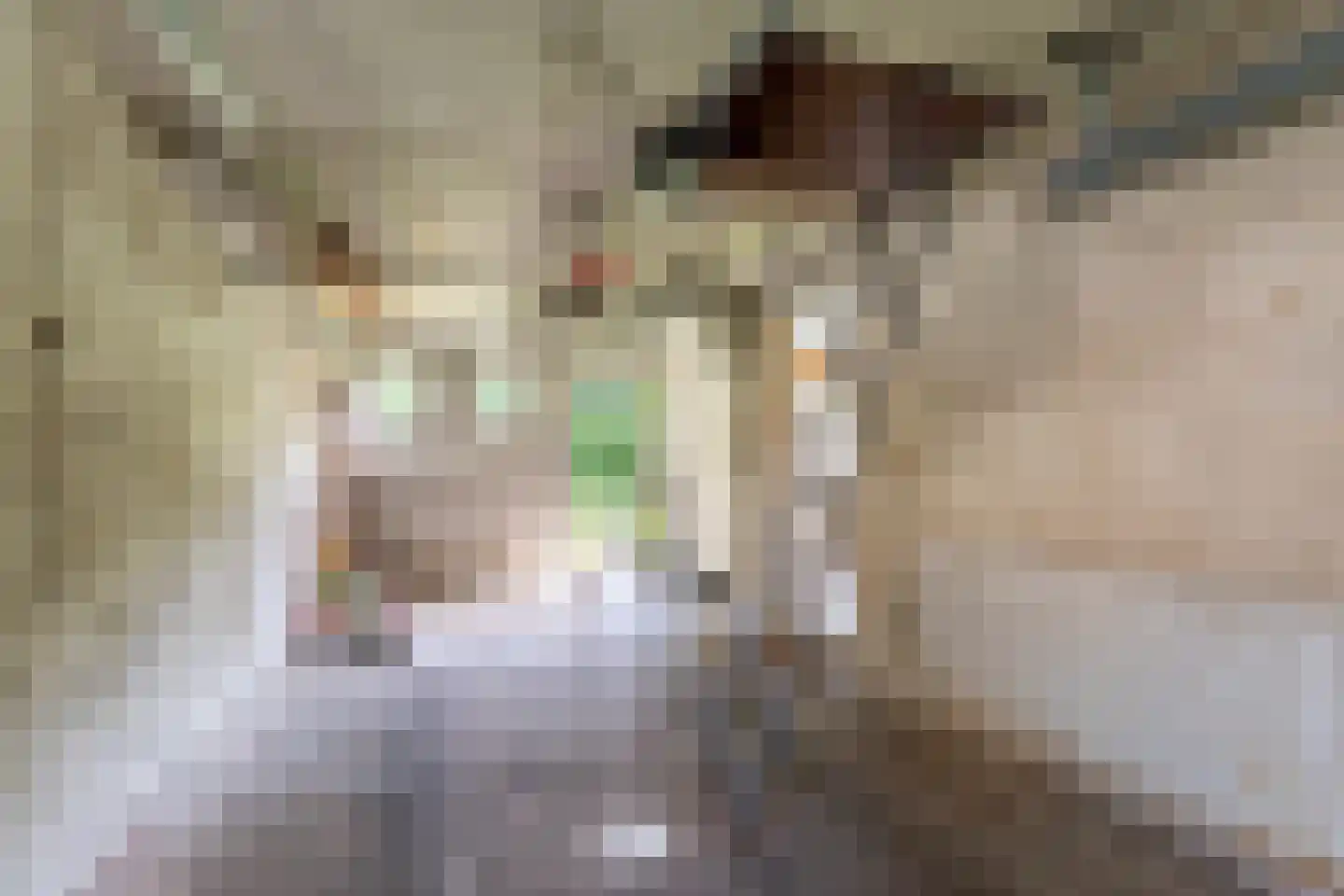 Middellaan 2 Grootegast thumbnail 63