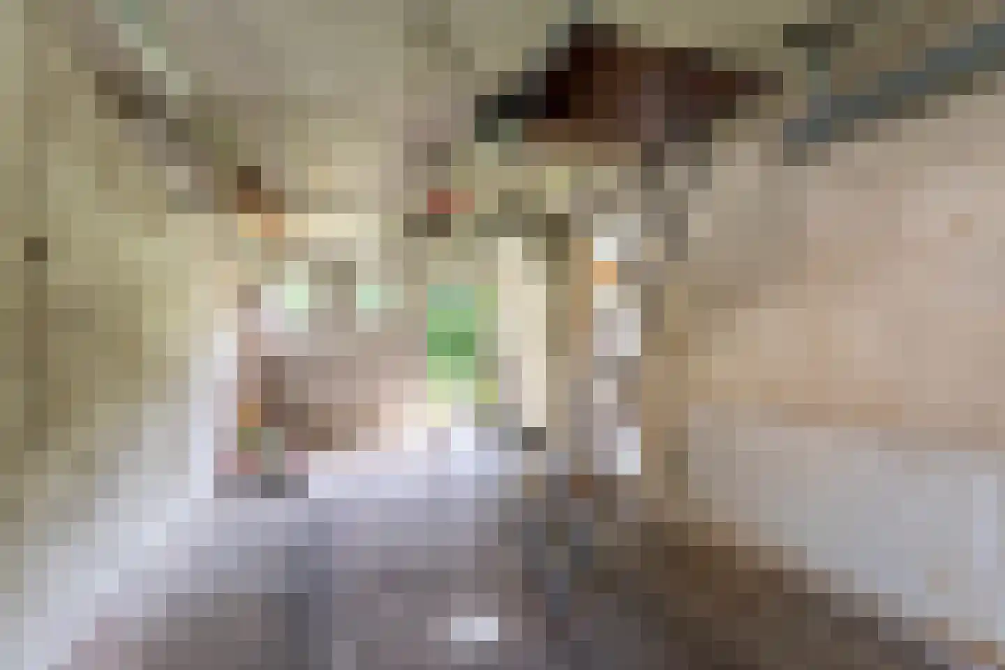 Middellaan 2 Grootegast thumbnail 64
