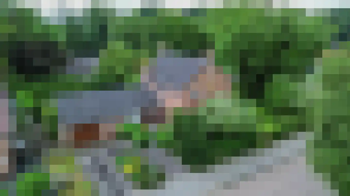 Middellaan 2 Grootegast thumbnail 66