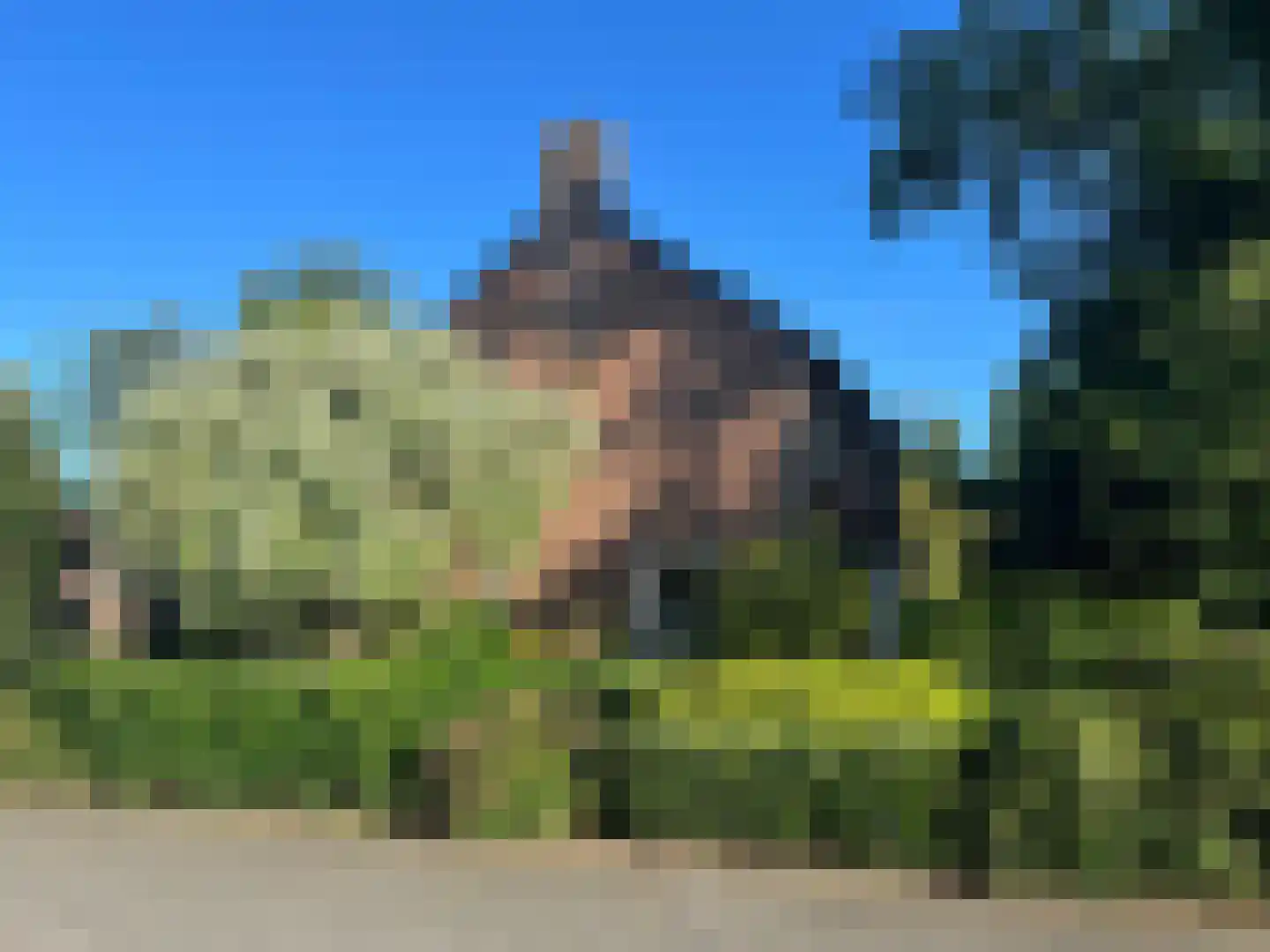 Middellaan 2 Grootegast thumbnail 68