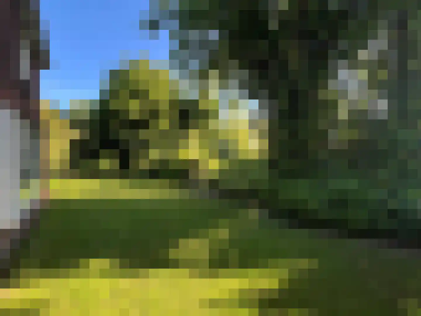 Middellaan 2 Grootegast thumbnail 71