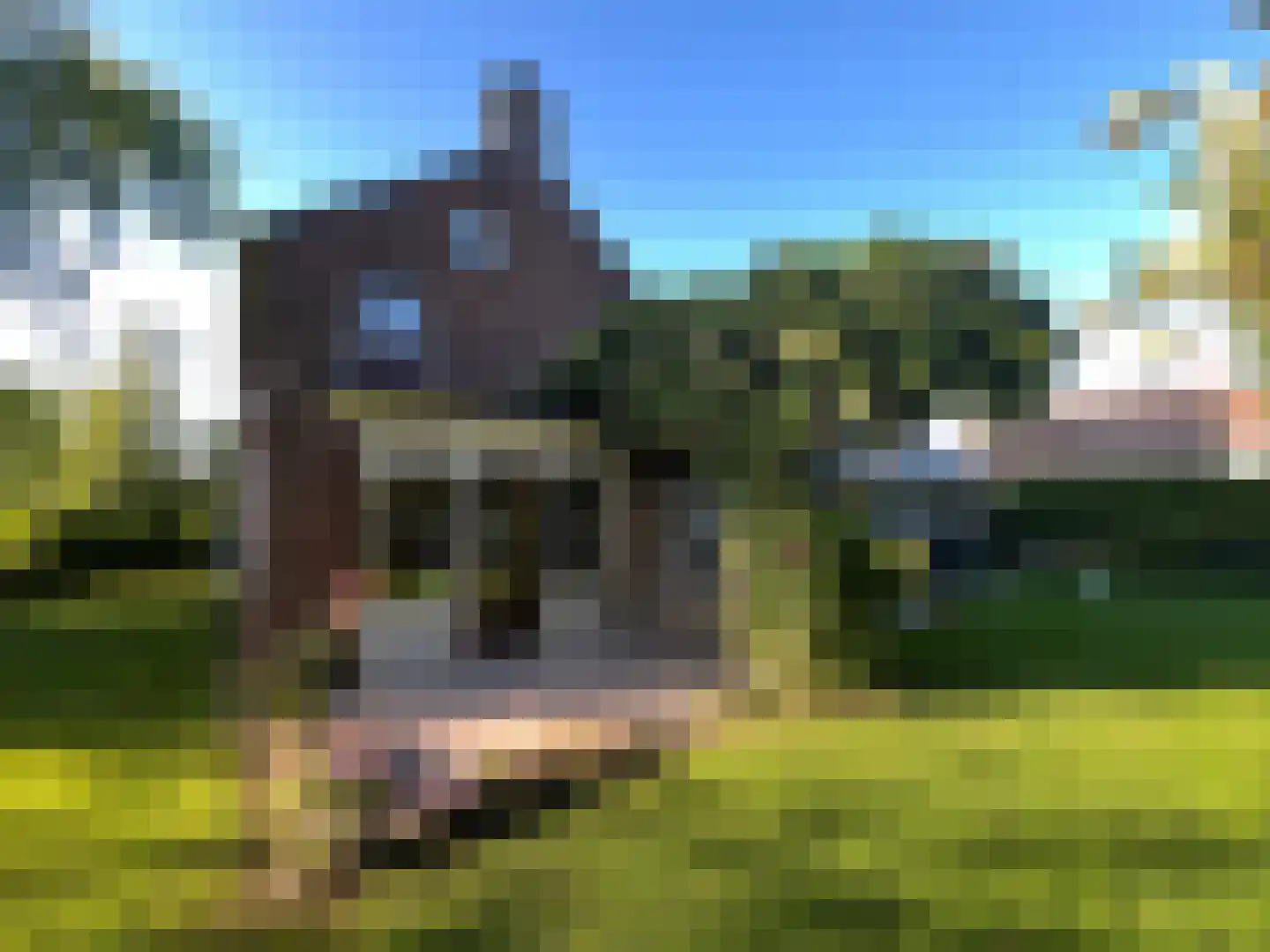 Middellaan 2 Grootegast thumbnail 74