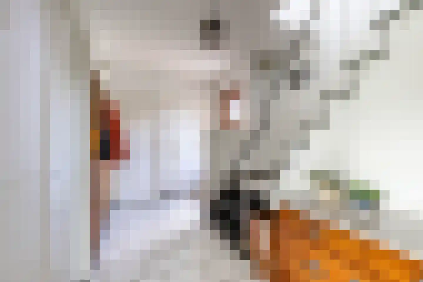 Middellaan 2 Grootegast thumbnail 9