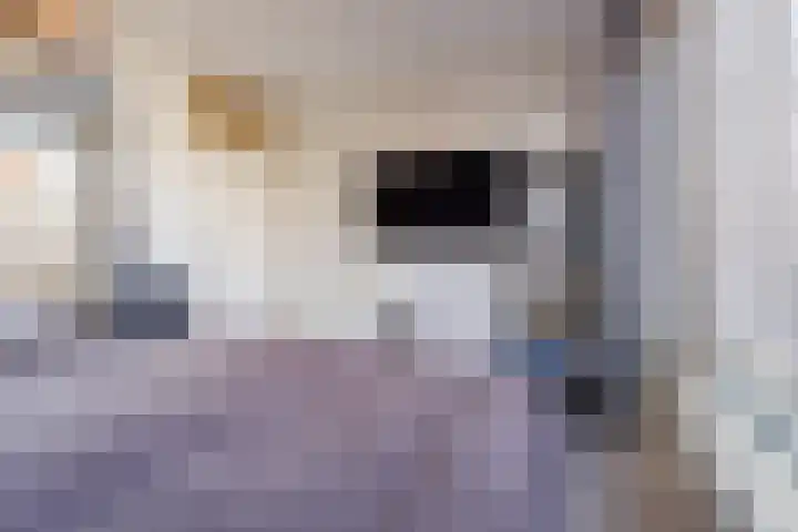 Middellaan 216 Breda thumbnail 20