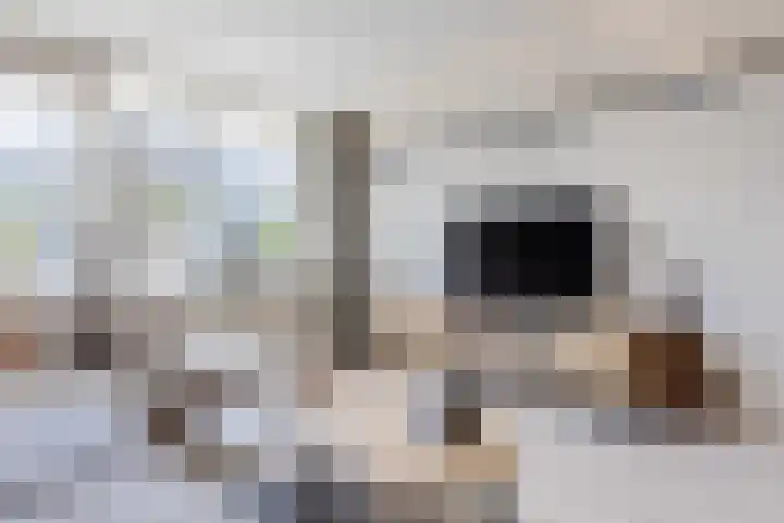 Middellaan 216 Breda thumbnail 8