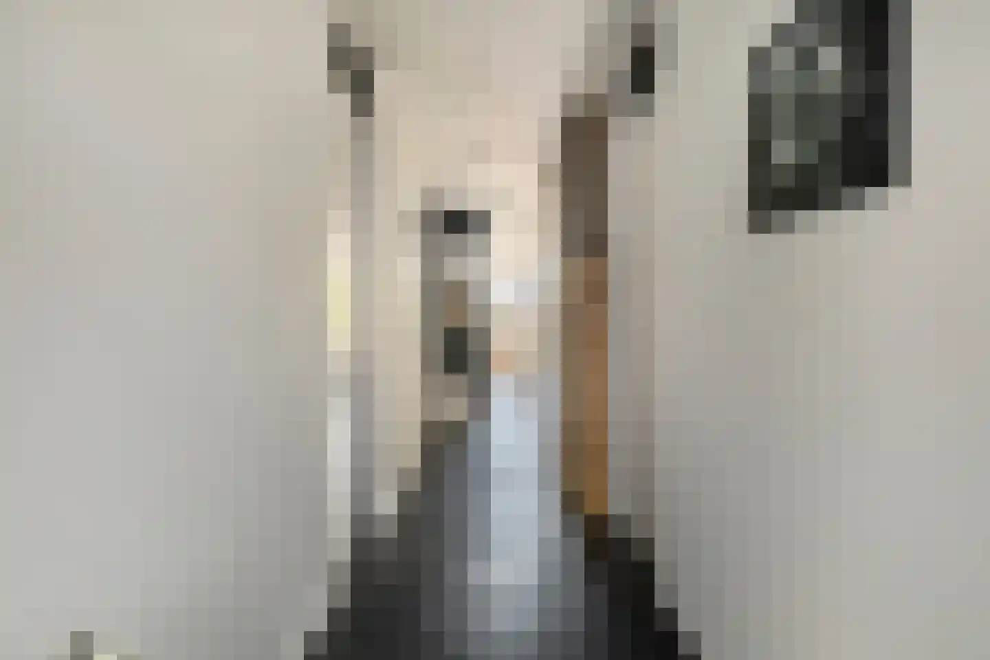 Middellaan 22 Breda thumbnail 5