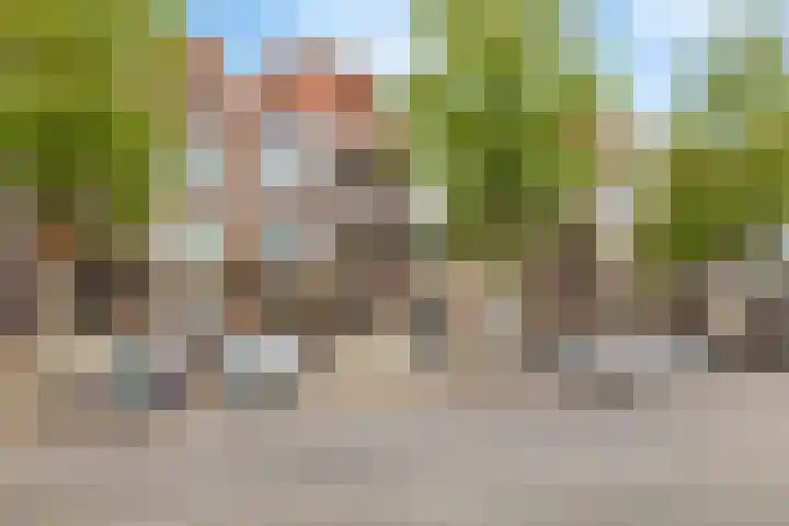 Middellaan 220 in Breda