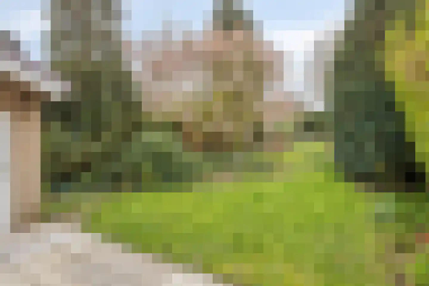 Middellaan 26 Veenendaal thumbnail 28