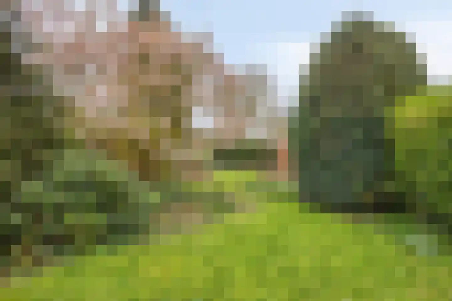 Middellaan 26 Veenendaal thumbnail 29