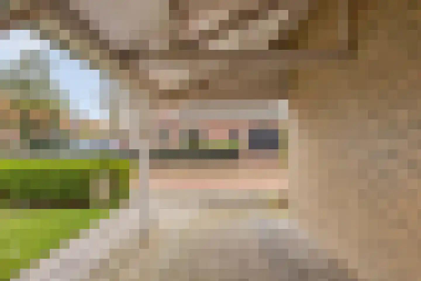 Middellaan 26 Veenendaal thumbnail 31