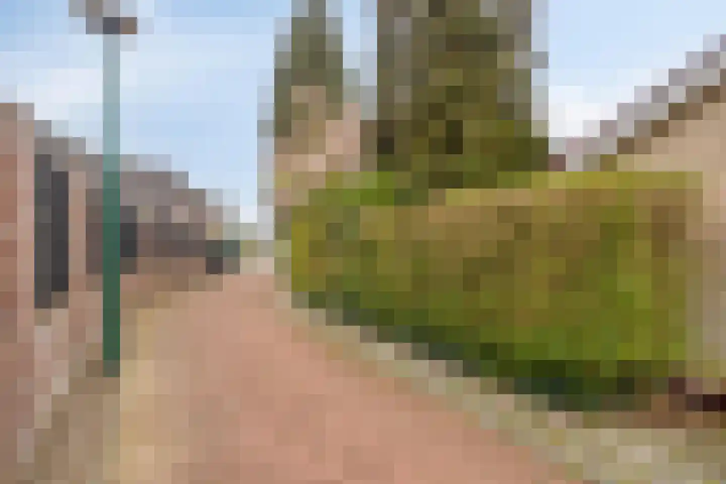Middellaan 26 Veenendaal thumbnail 32
