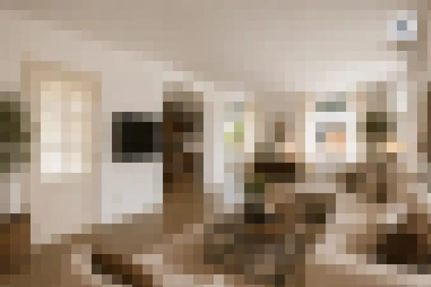 Middellaan 3 Grootegast thumbnail 19
