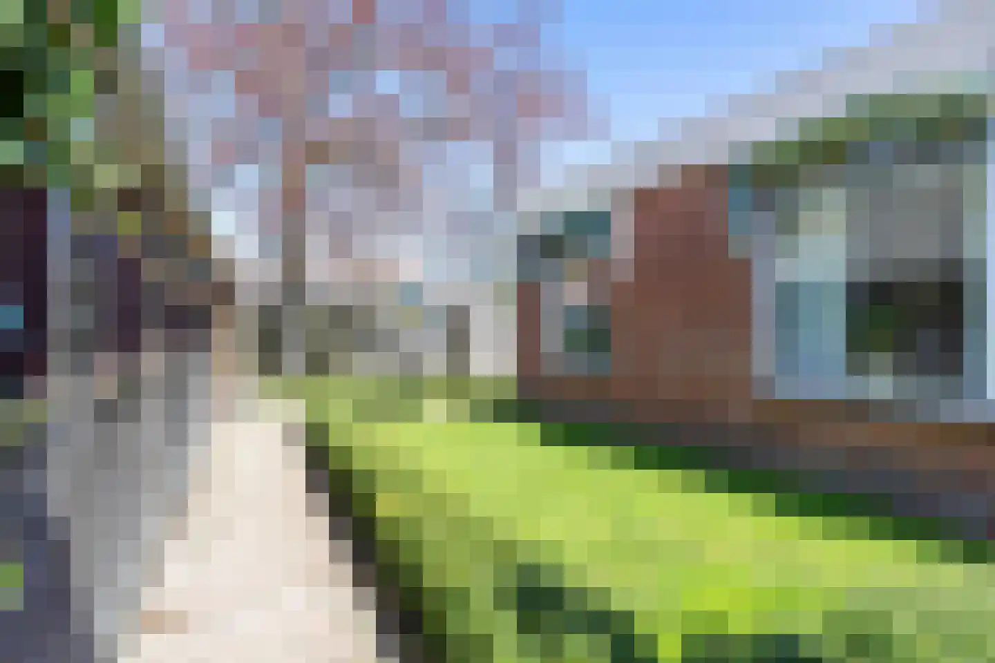 Middellaan 3 Grootegast thumbnail 24