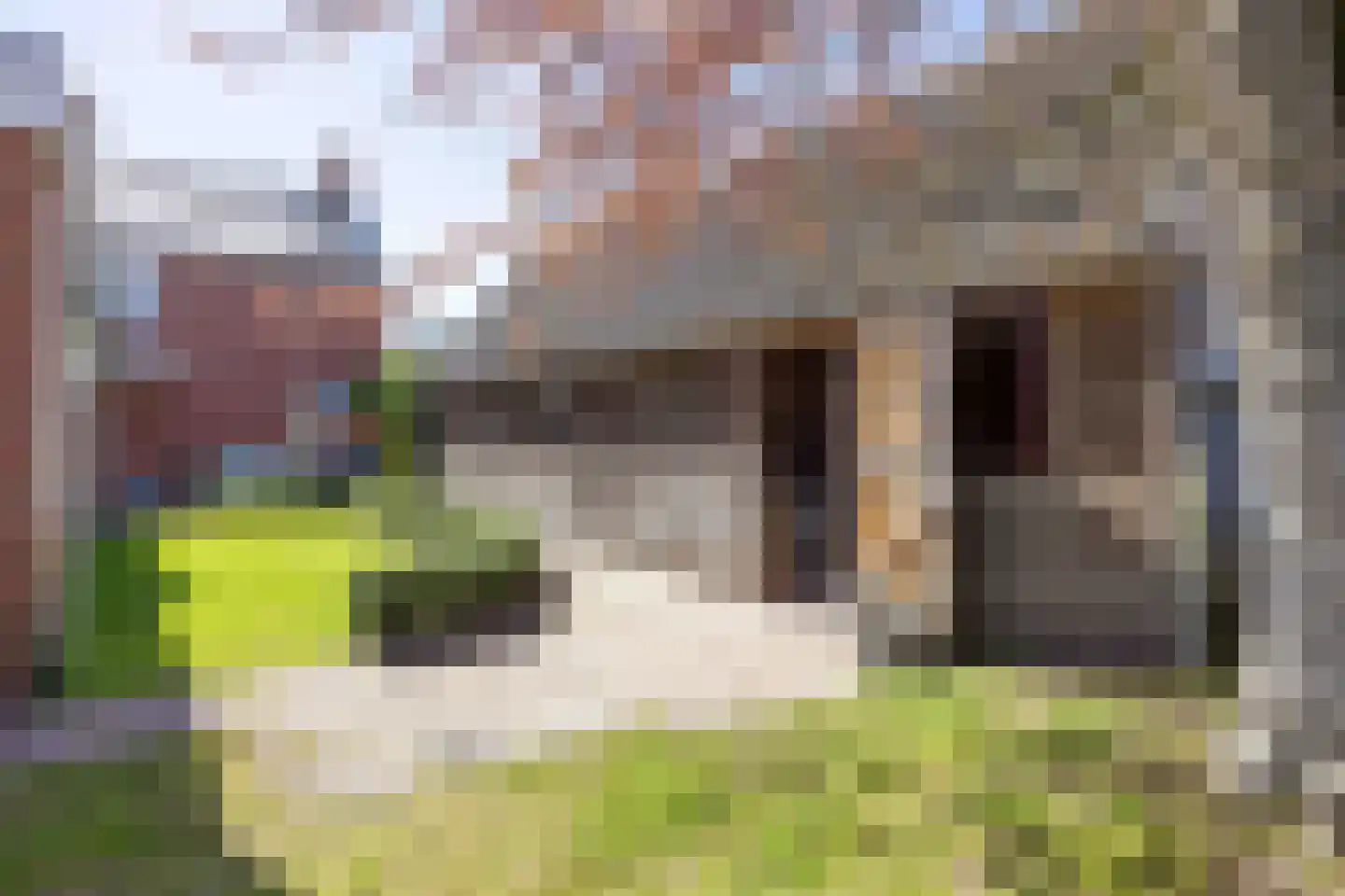 Middellaan 3 Grootegast thumbnail 26