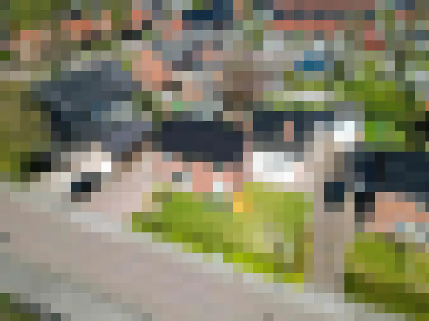 Middellaan 3 Grootegast thumbnail 29