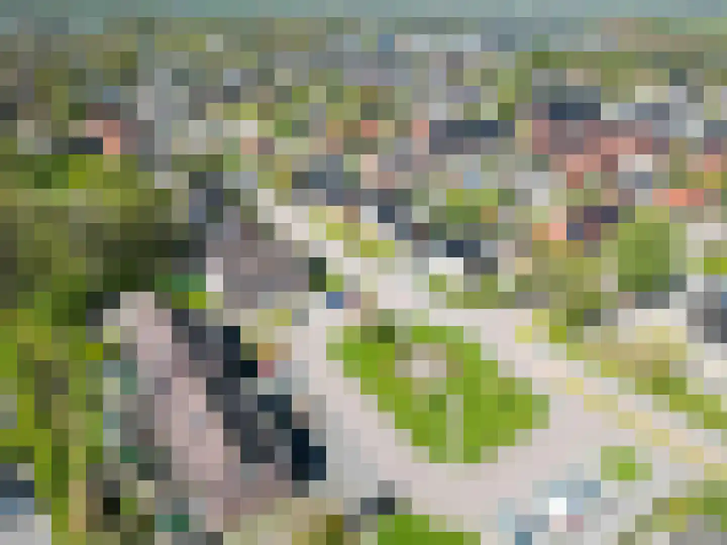 Middellaan 3 Grootegast thumbnail 32
