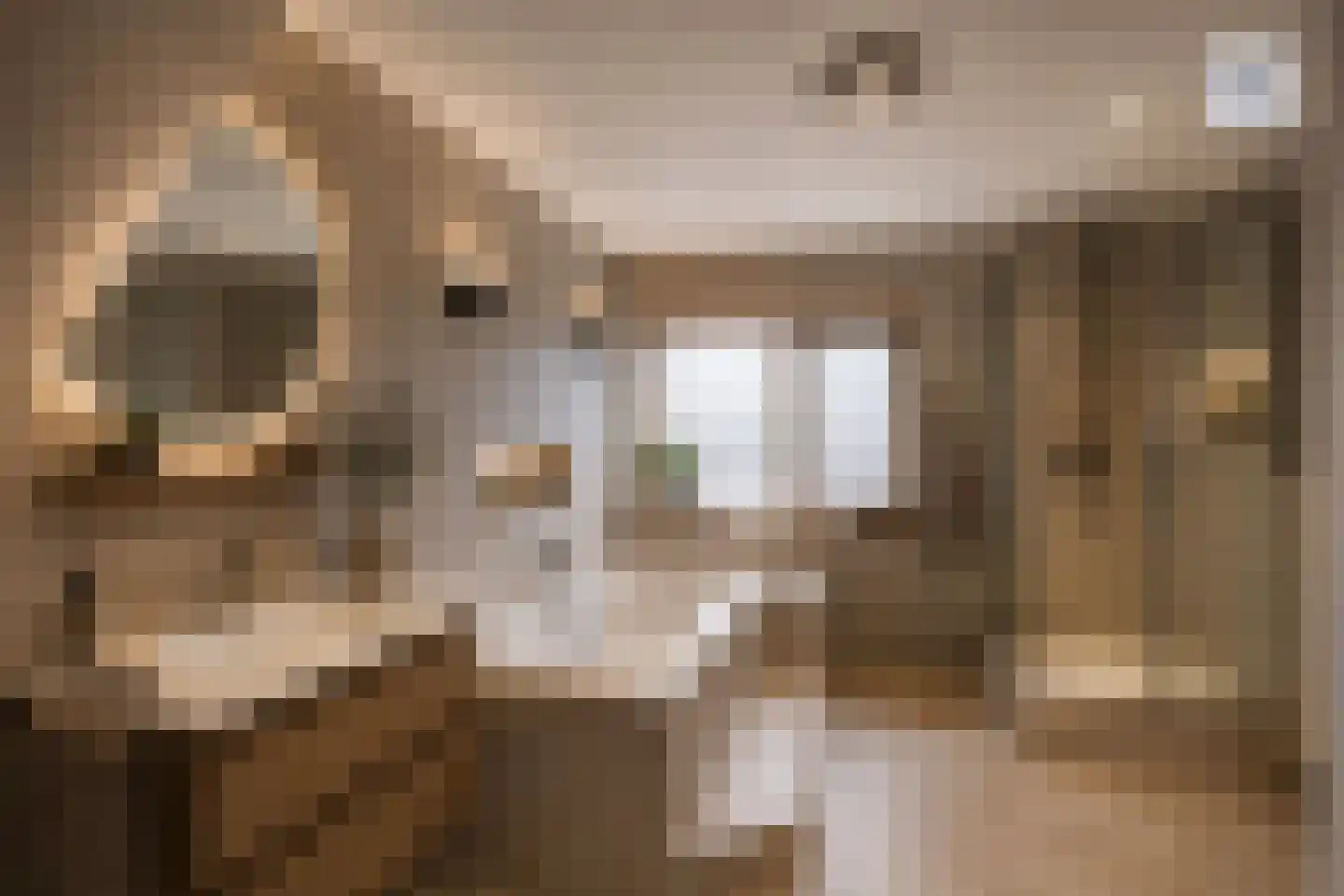 Middellaan 3 Grootegast thumbnail 36