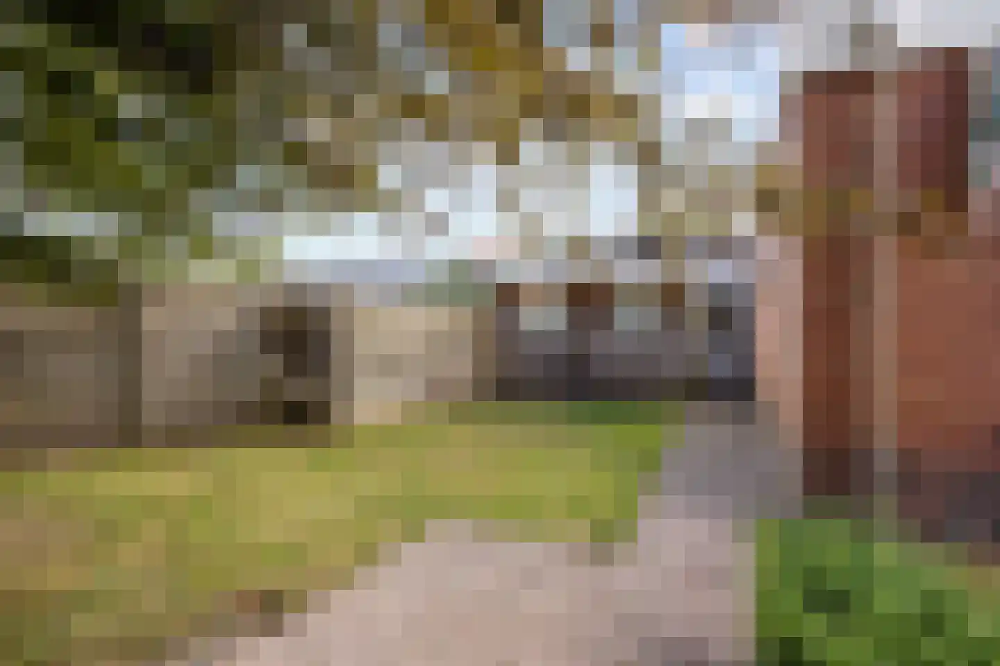 Middellaan 3 Grootegast thumbnail 54