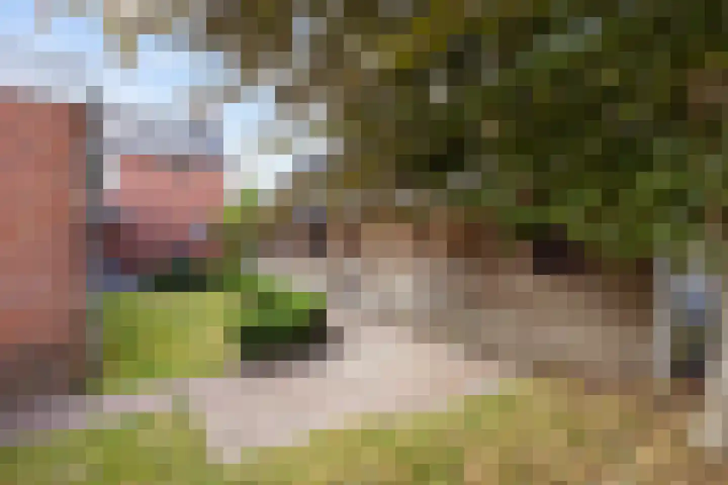 Middellaan 3 Grootegast thumbnail 56