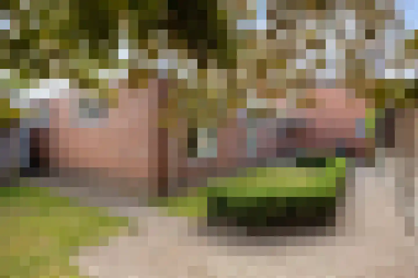 Middellaan 3 Grootegast thumbnail 57