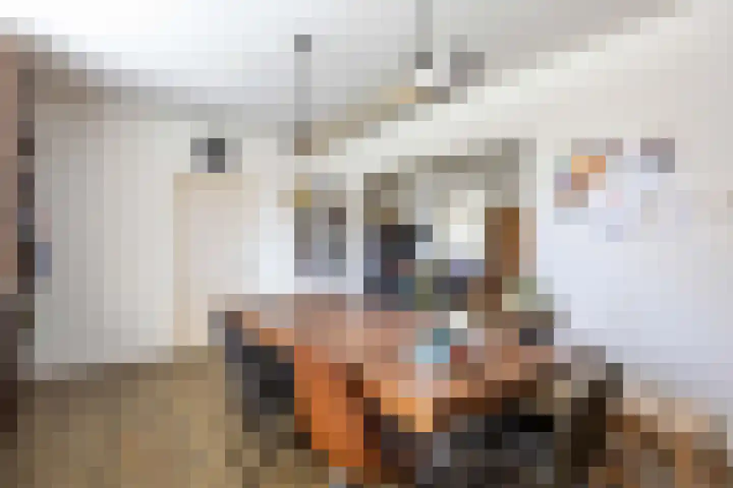 Middellaan 3 Grootegast thumbnail 7