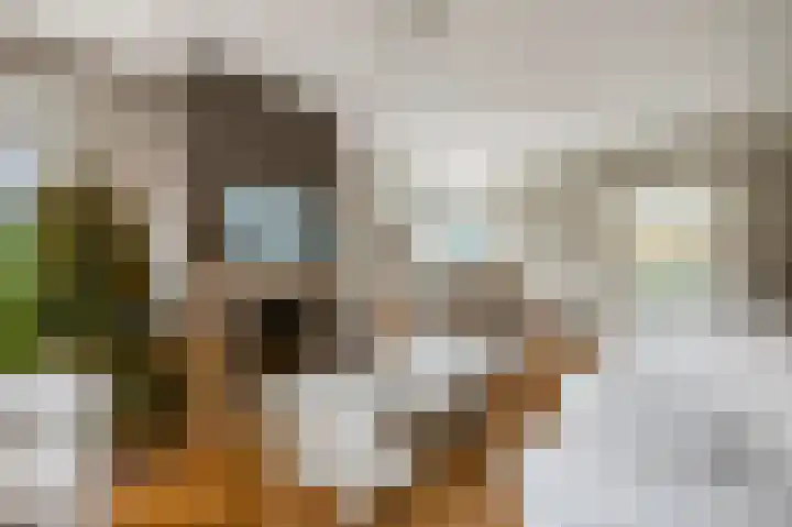 Middellaan 32 Veenendaal thumbnail 8