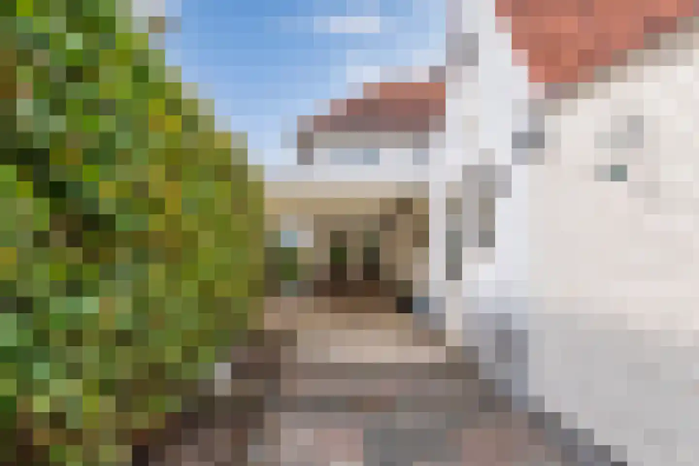 Middellaan 33 Veenendaal thumbnail 4