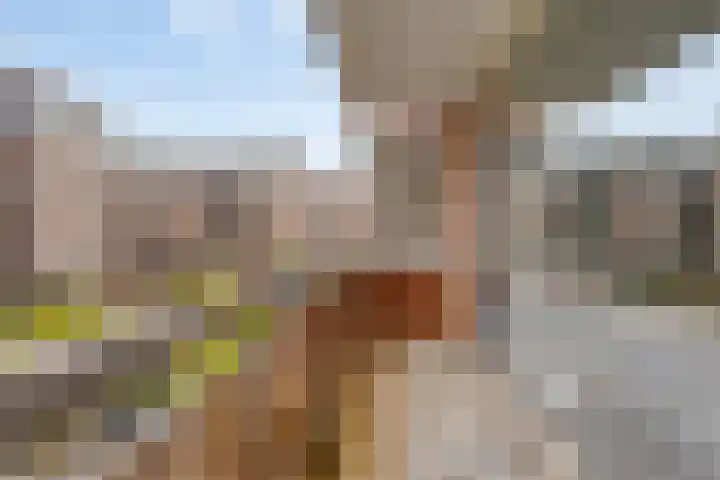 Middellaan 334 Breda thumbnail 5