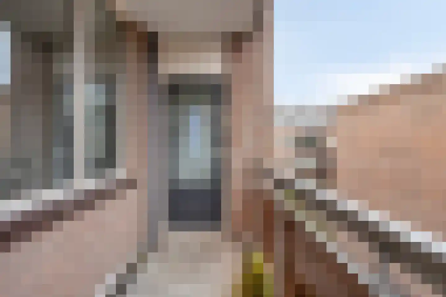Middellaan 358 Breda thumbnail 18