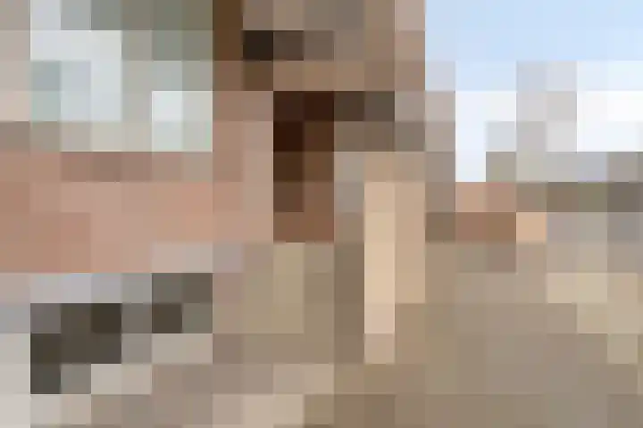 Middellaan 358 Breda thumbnail 8