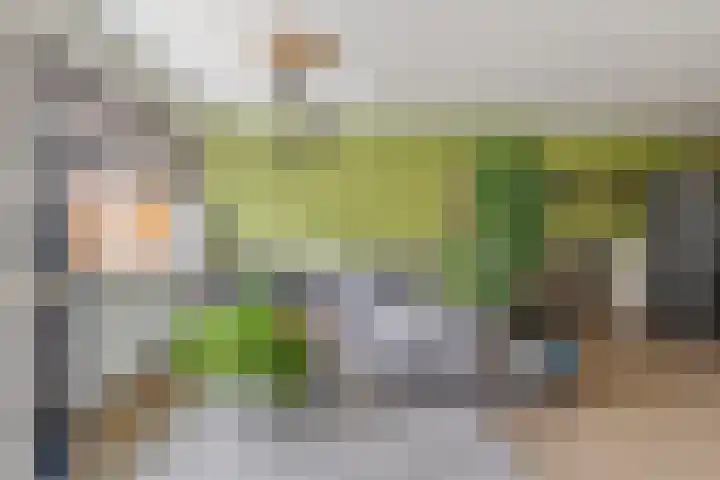 Middellaan 430 Breda thumbnail 11