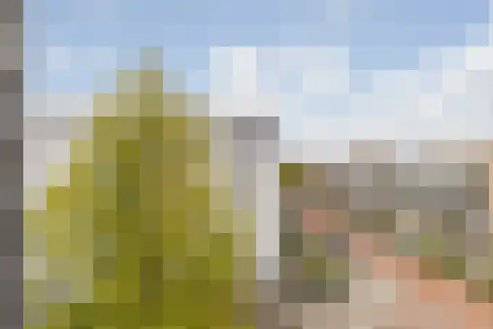 Middellaan 430 Breda thumbnail 26