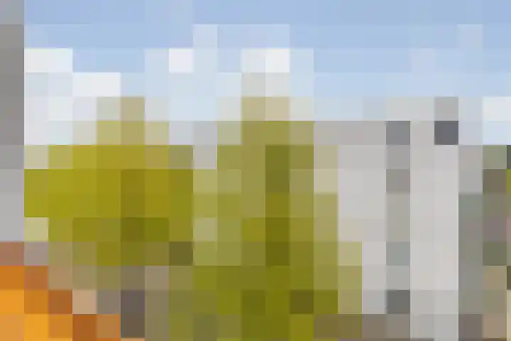 Middellaan 430 Breda thumbnail 27