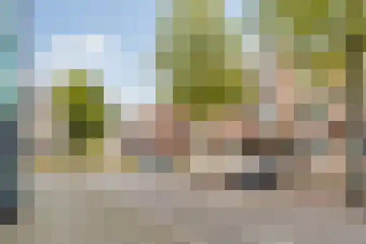 Middellaan 430 Breda thumbnail 32
