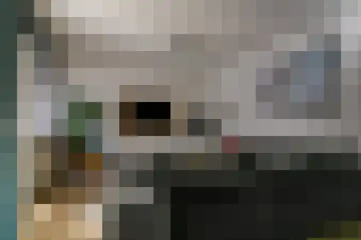 Middellaan 432 Breda thumbnail 4