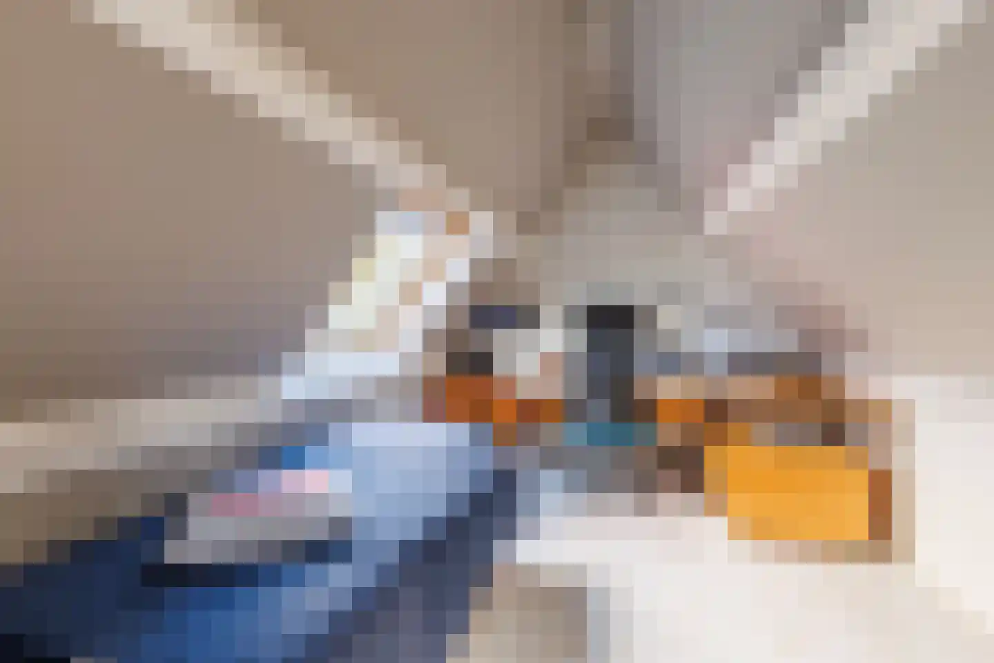 Middellaan 45 Apeldoorn thumbnail 19