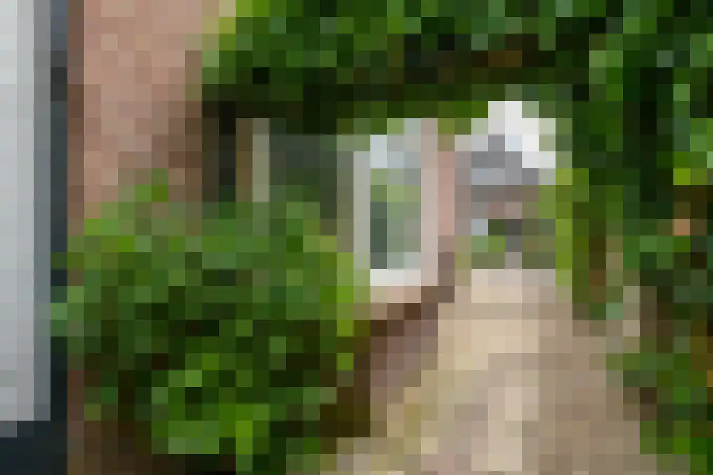 Middellaan 46 Apeldoorn thumbnail 26
