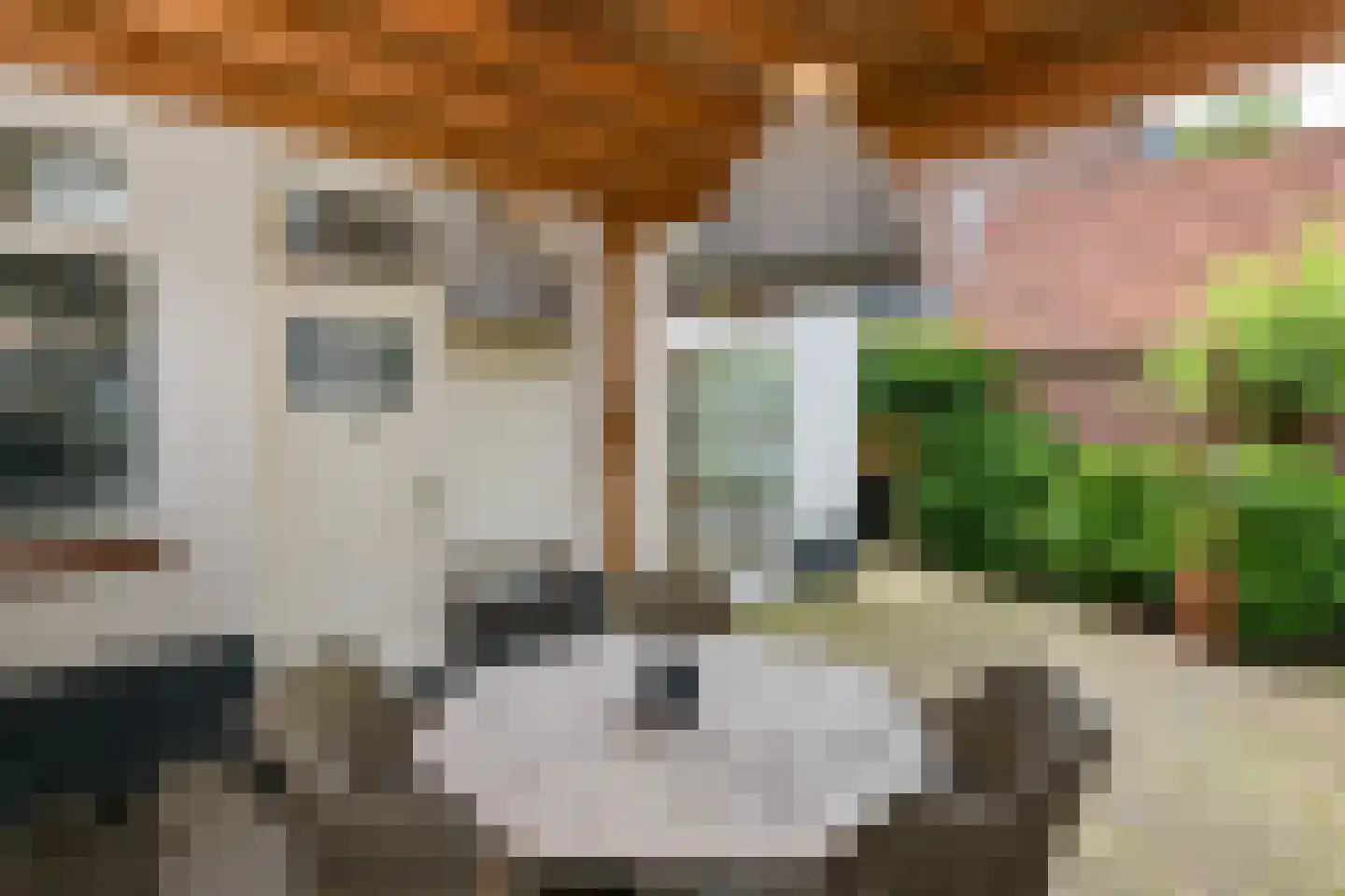 Middellaan 46 Apeldoorn thumbnail 30