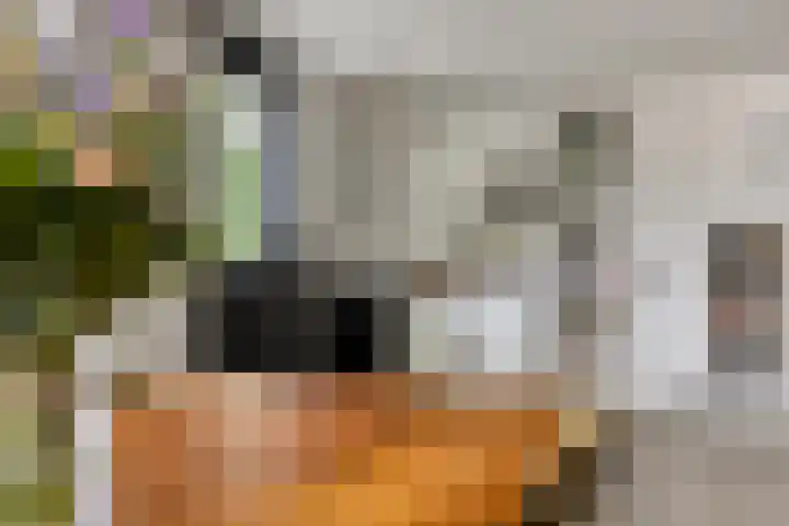 Middellaan 460 C13 Breda thumbnail 10