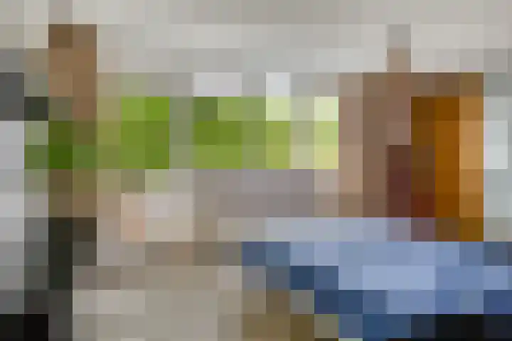 Middellaan 460 C13 Breda thumbnail 14