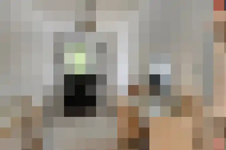 Middellaan 460 C13 Breda thumbnail 15