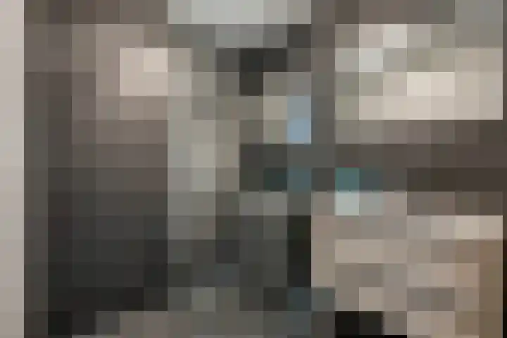 Middellaan 460 C13 Breda thumbnail 17