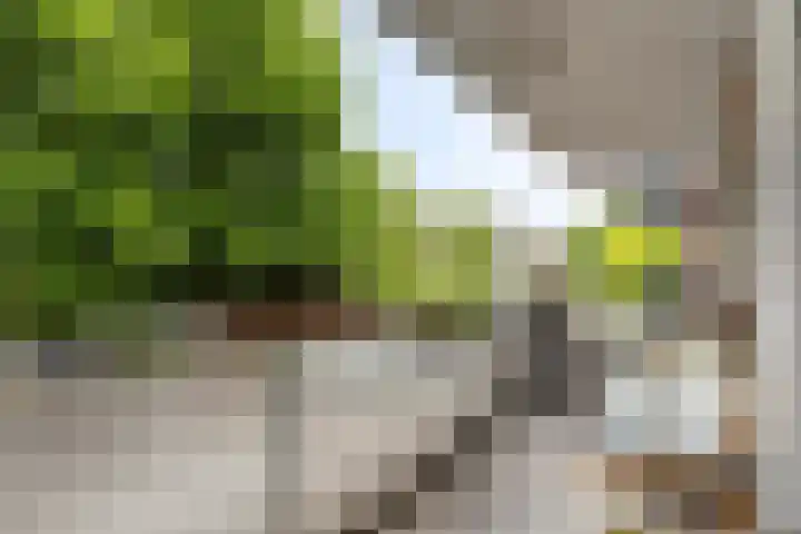 Middellaan 460 C13 Breda thumbnail 18