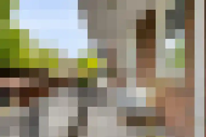 Middellaan 460 C13 Breda thumbnail 19