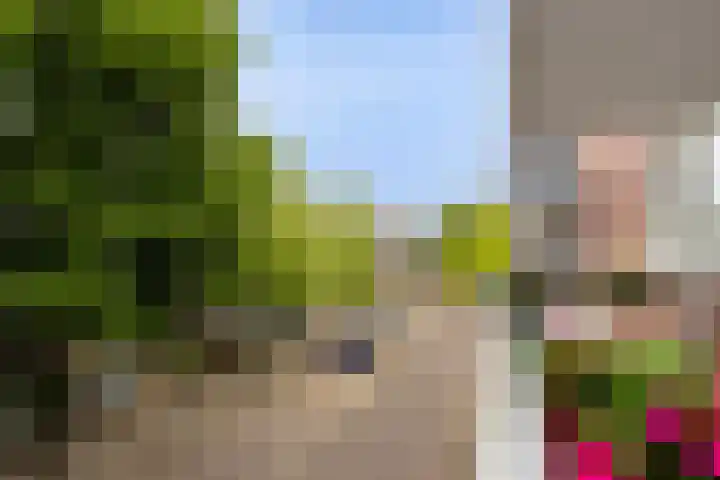 Middellaan 460 C13 Breda thumbnail 20