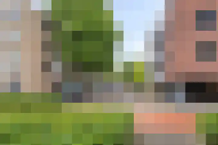 Middellaan 460 C13 Breda thumbnail 22