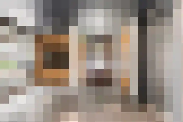 Middellaan 460 C13 Breda thumbnail 4