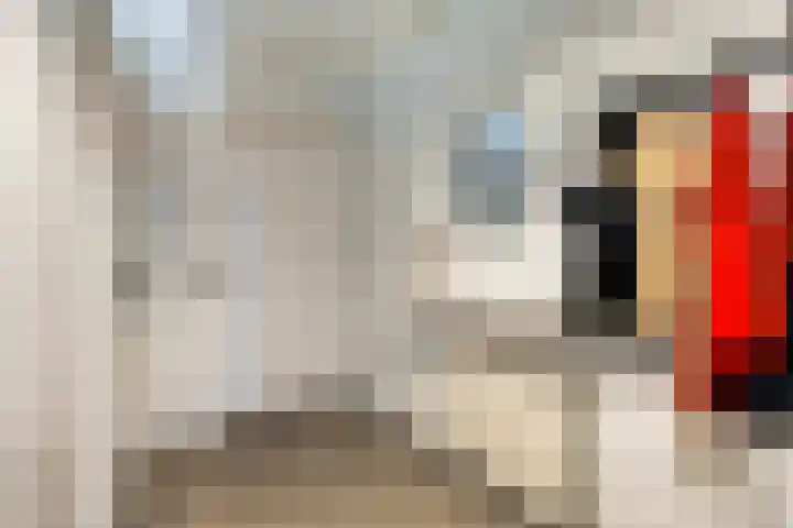 Middellaan 460 C13 Breda thumbnail 6